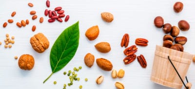 nutrition for longevity