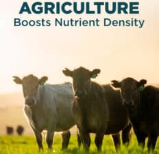 Regenerative agriculture boosts nutrient density - Dr. Axe