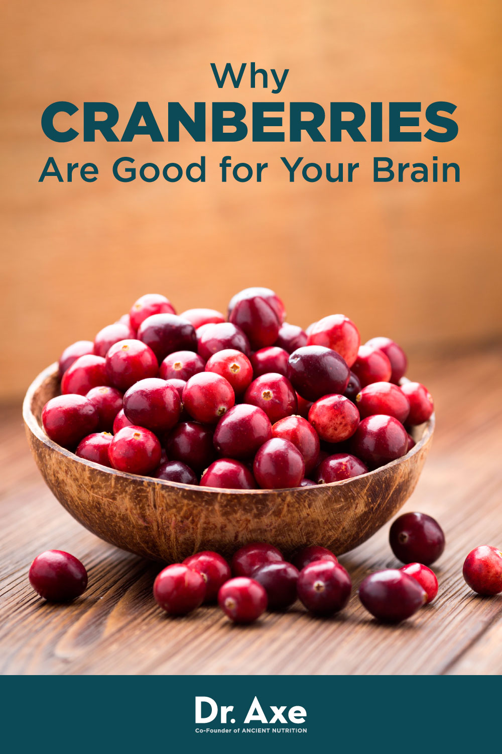 Study Highlights Benefits of Cranberries for Brain Health Dr. Axe