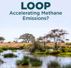 Methane feedback loop - Dr. Axe