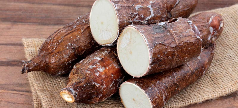 Yucca Root Benefits How to - Dr. Axe