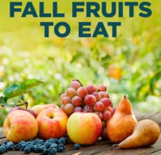 Fall fruits - Dr. Axe