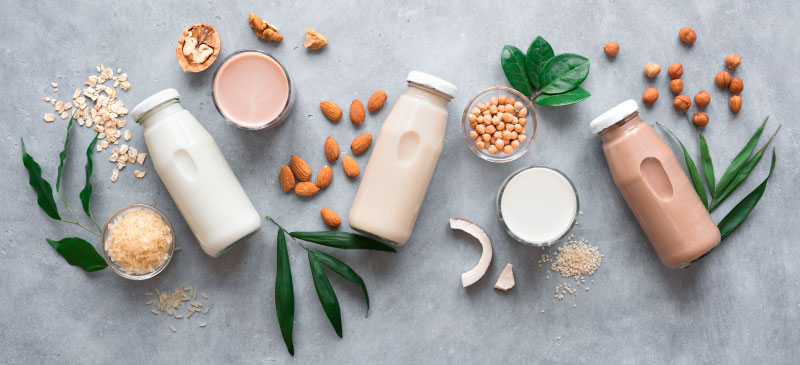 Plant-based milk - Dr. Axe