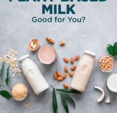 Plant-based milk - Dr. Axe