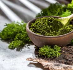 Chlorella