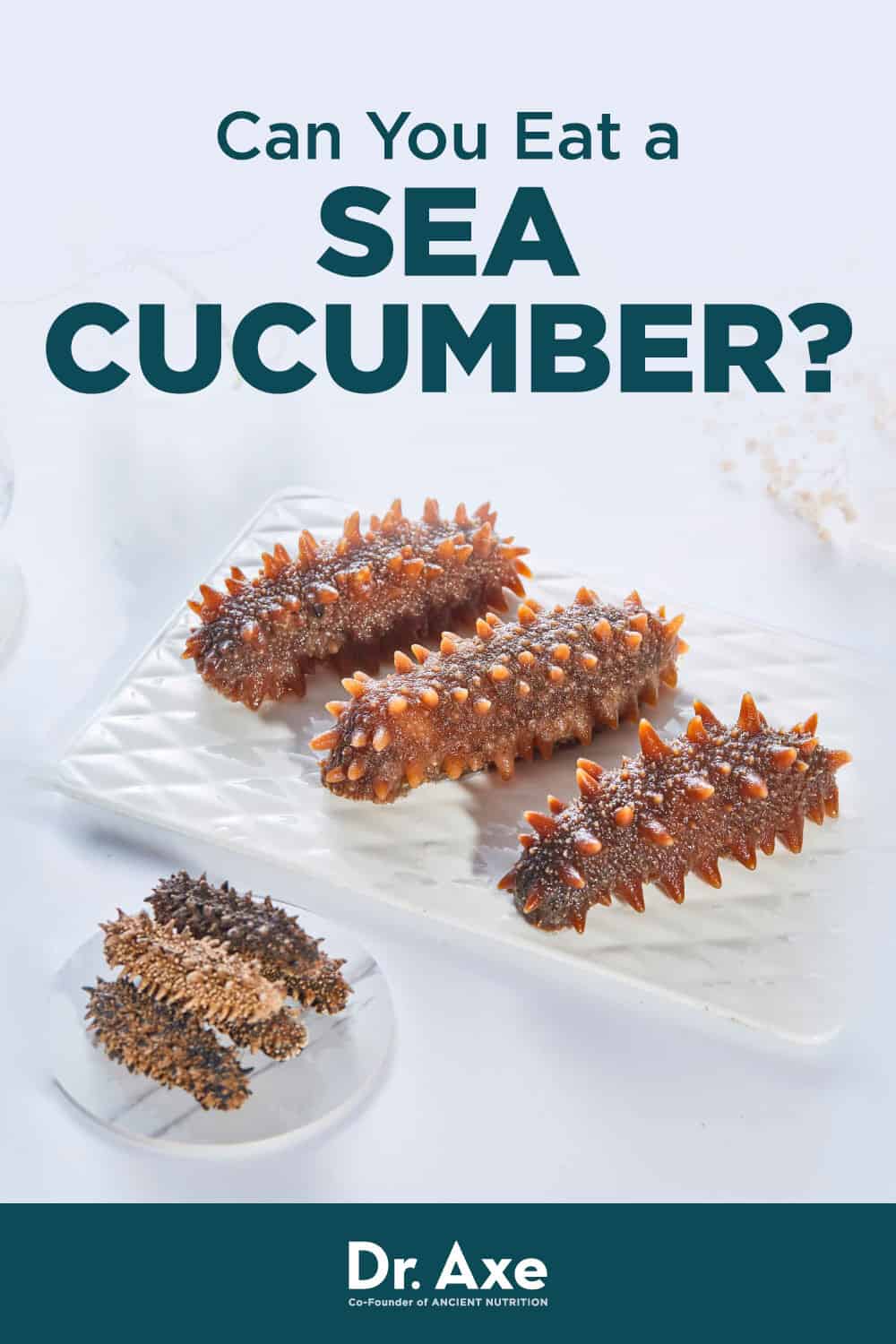 Benefits of Eating Sea Cucumber, Plus Nutrition Facts Dr. Axe