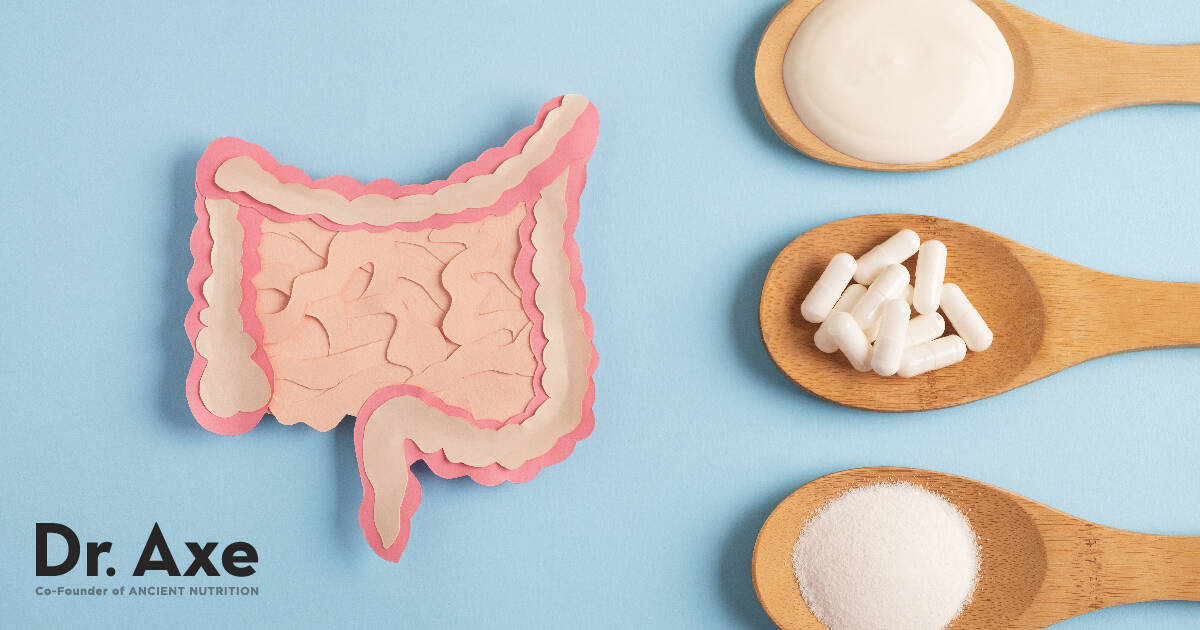 Prebiotic vs. Probiotic What's the Difference? Dr. Axe