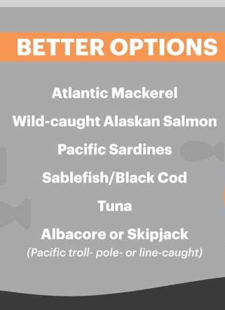Healthier fish options