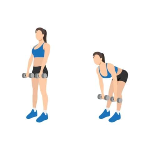 Romanian deadlift glute exercise