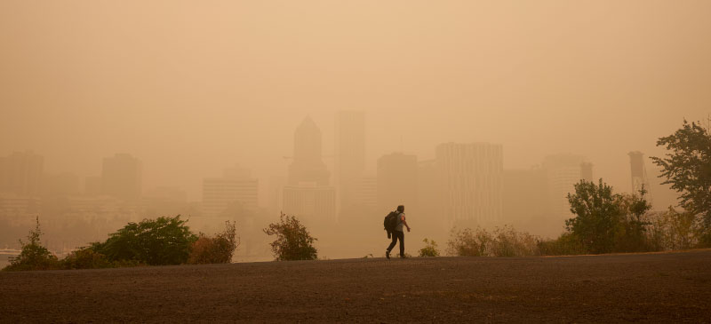 Remedies for allergy season and smoke-filled air