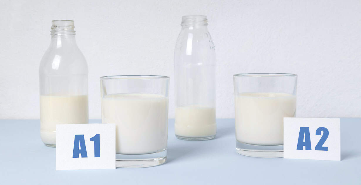 What Is A2 Milk? Benefits and How It Compares to Regular Milk Dr. Axe