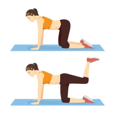 Donkey kick glute exercise