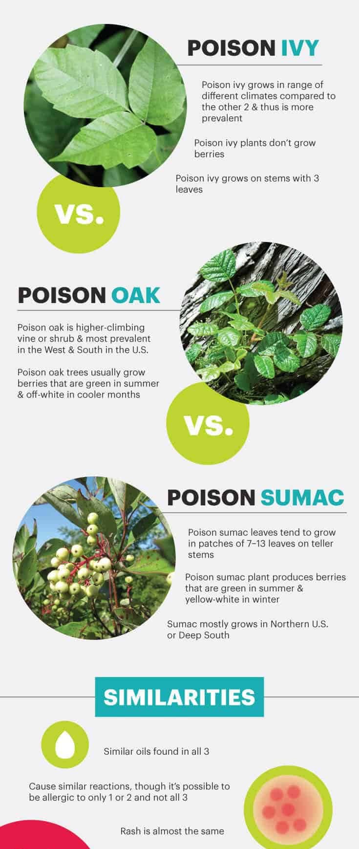 Poison ivy vs. poison oak vs. poison sumac