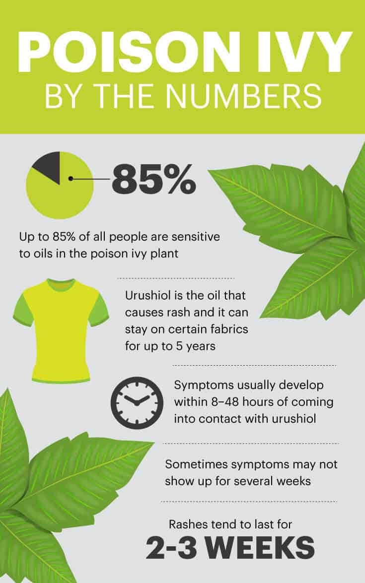 Poison ivy stats