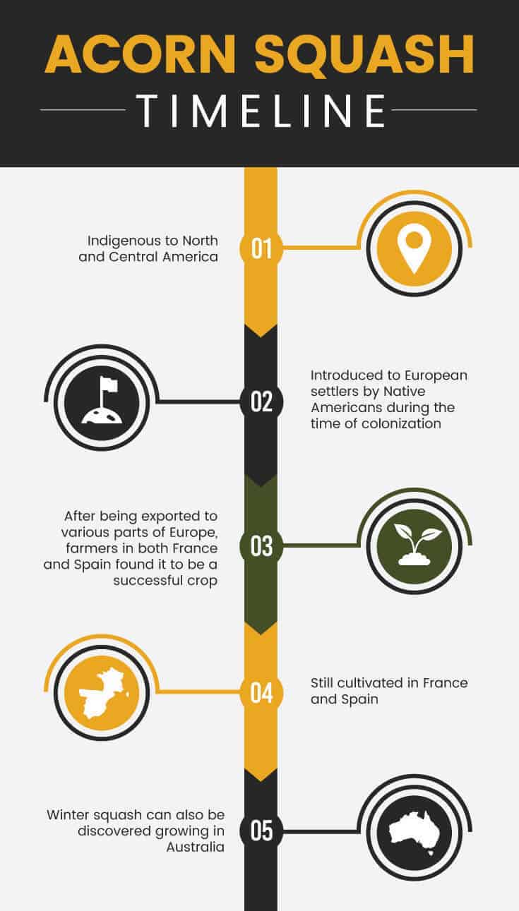 Acorn squash timeline
