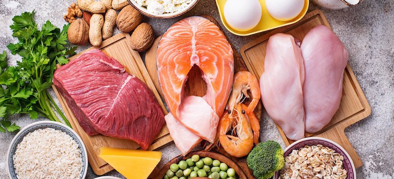 Benefits of protein