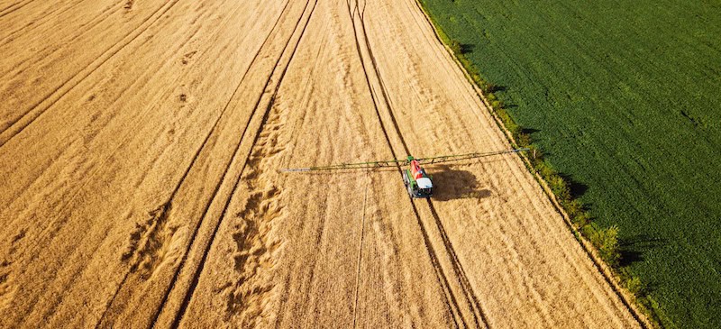 Glyphosate in food