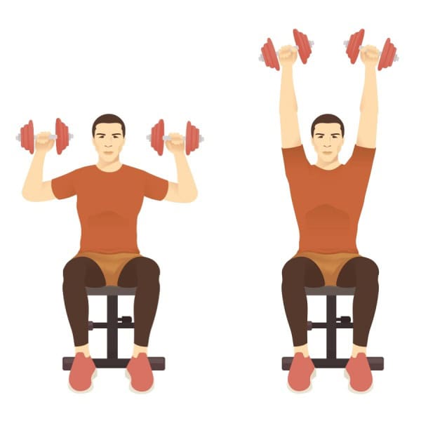 Dumbbell overhead press