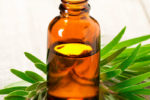 Top Tea Tree Oil Uses and Benefits