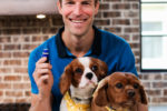 Essential Oils for Pets: The Best & Worst Oils to Help Your Furry Friends